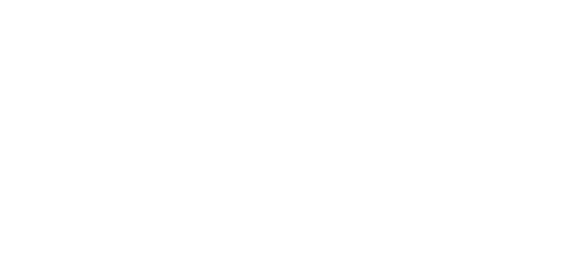 Sebrae